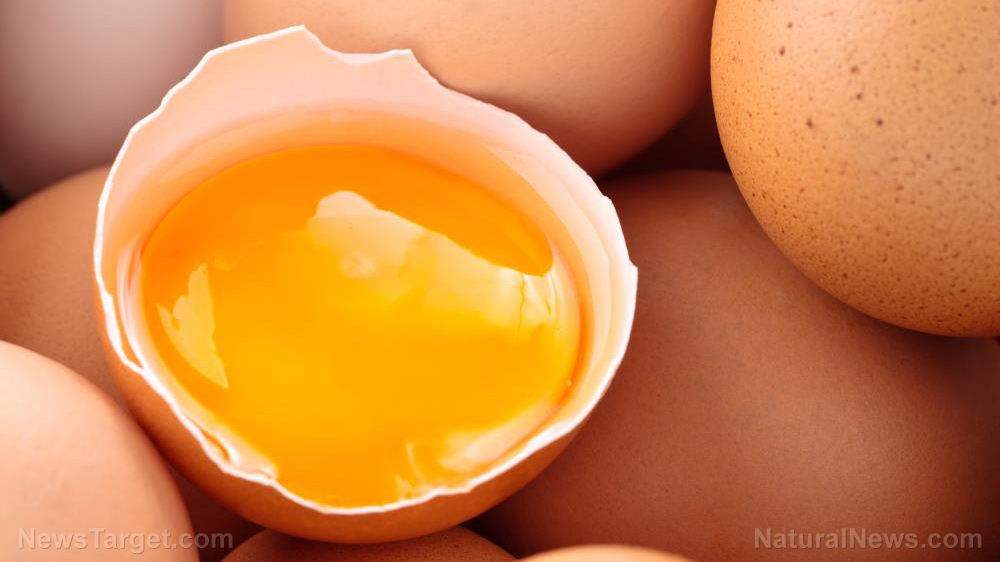 Image: Diabetic? Eat more eggs