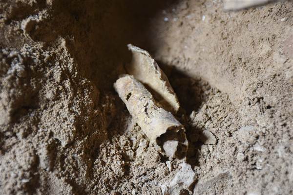 Image: Ancient preppers: Researchers discover 2,000-year-old Jewish settlement in Israel where rebels used hidden tunnels to store supplies underground