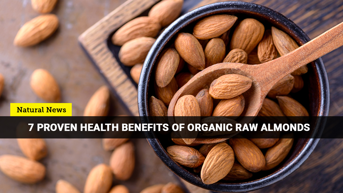 Image: Here are the best reasons why you should go nuts with organic almonds
