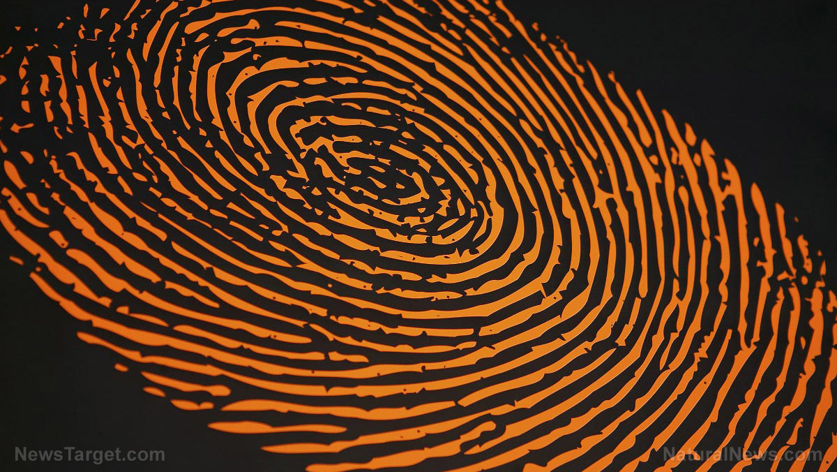 Fingerprint verification makes snooping on your phone EASIER   – NaturalNews.com