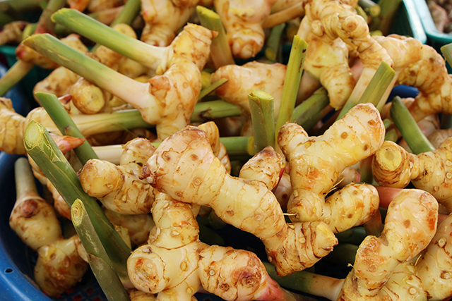 Image: It’s time to look at galangal, ginger’s lesser known (but equally potent) relative