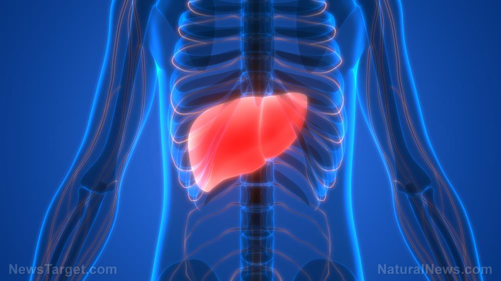 Image: Fight the effects of fatty liver with myo-inositol