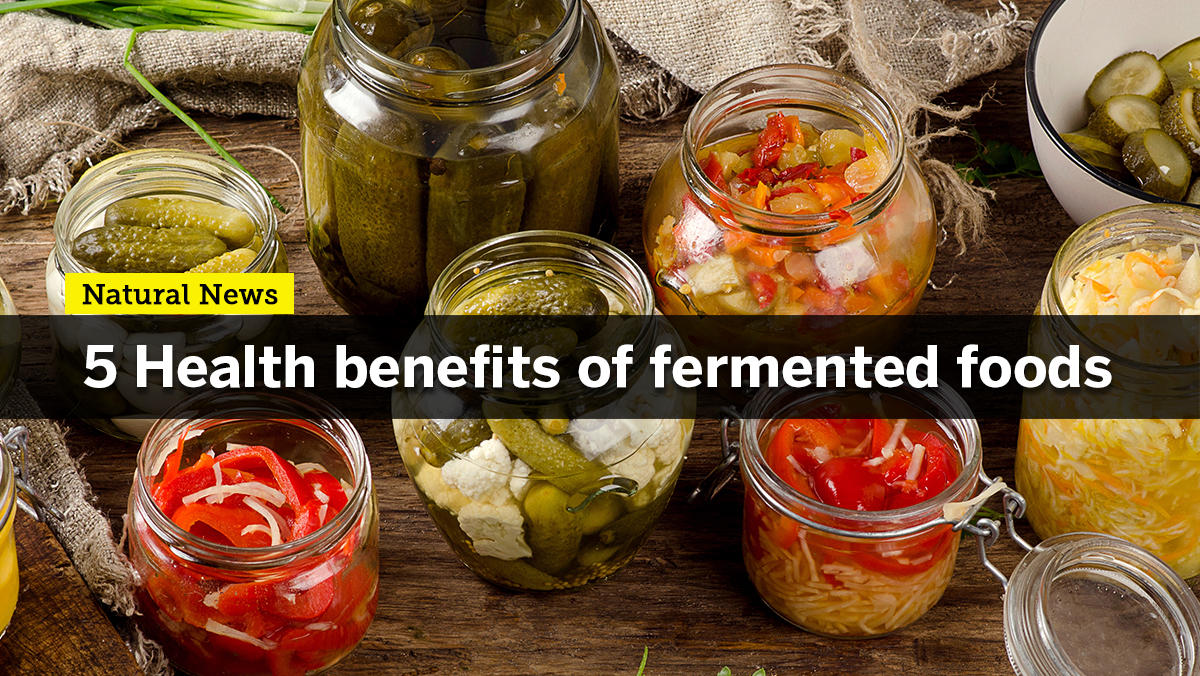Image: Regularly eating fermented foods can provide incredible health-promoting benefits
