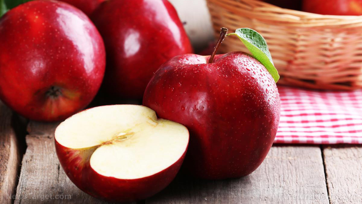 Image: Can nutrients from apples help with stem cell therapy?