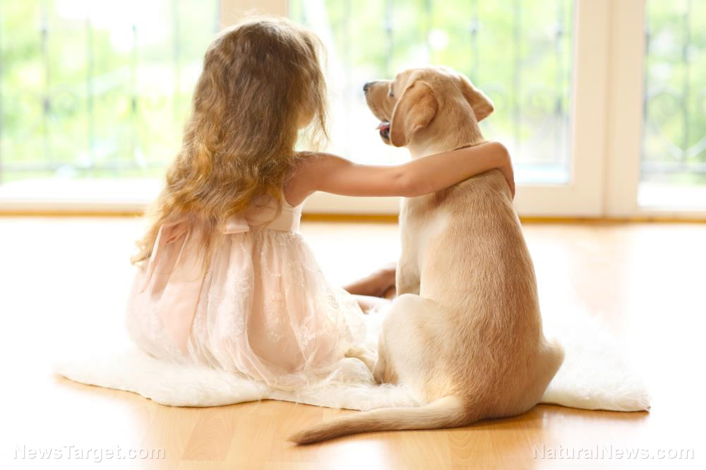 Image: Natural remedies: Pets help relieve anxiety in children