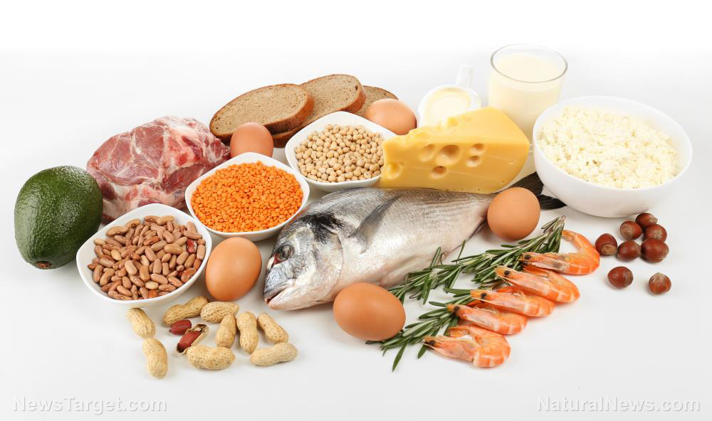 Image: Dietary energy intake and nutrition are important for the prevention of skeletal muscle loss in cancer survivors