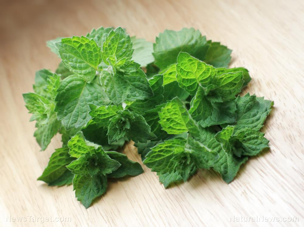 Image: Spearmint is a cool way to boost your cognitive focus and attention