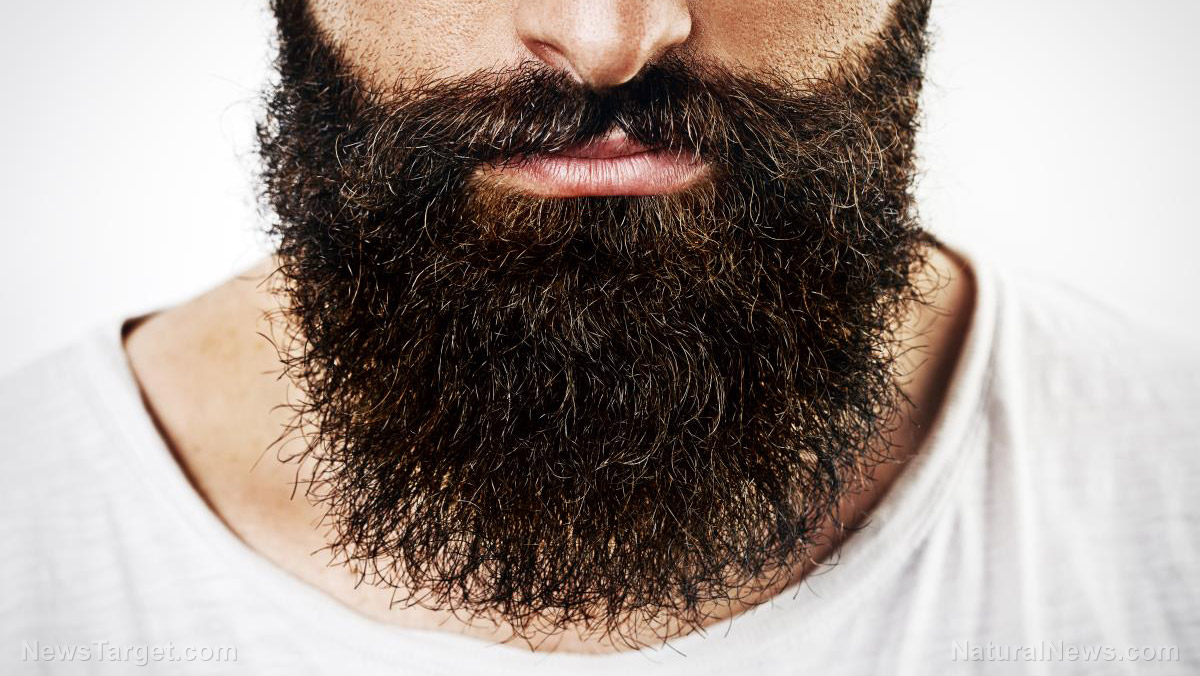 Image: Facial hair and hygiene: Are men’s beards filthier than dog fur?