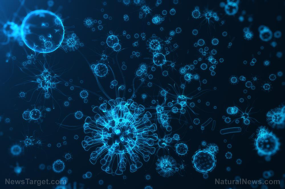 Image: Sailing scientists discover almost 200,000 marine virus species: Data can help biologists understand how viruses affect the marine ecosystem