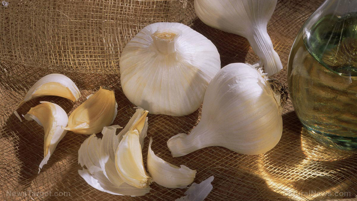 Image: Garlic can protect against heart tissue damage caused by reoxygenation