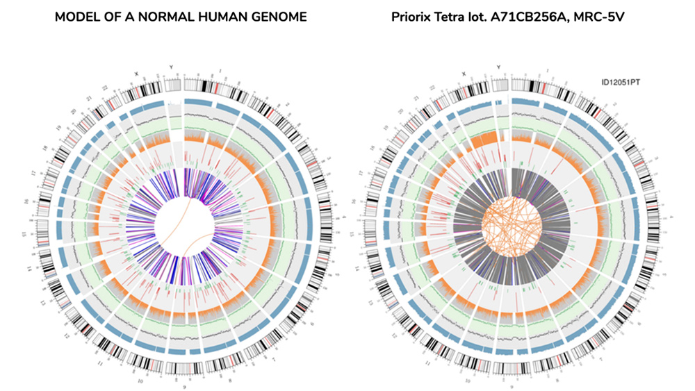 Image: MEDICAL HORROR: Genetic sequencing of common vaccine finds entire male human genome from aborted human baby… “a complete individual genome” with abnormal, modified genes… 560 genes linked to cancer