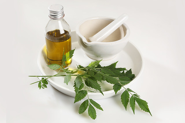 Image: More than a natural pest repellent: Use neem oil to boost your hair and dental health
