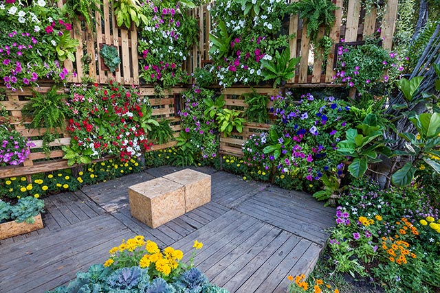 Image: Build your own sustainable gardens: A no-nonsense guide