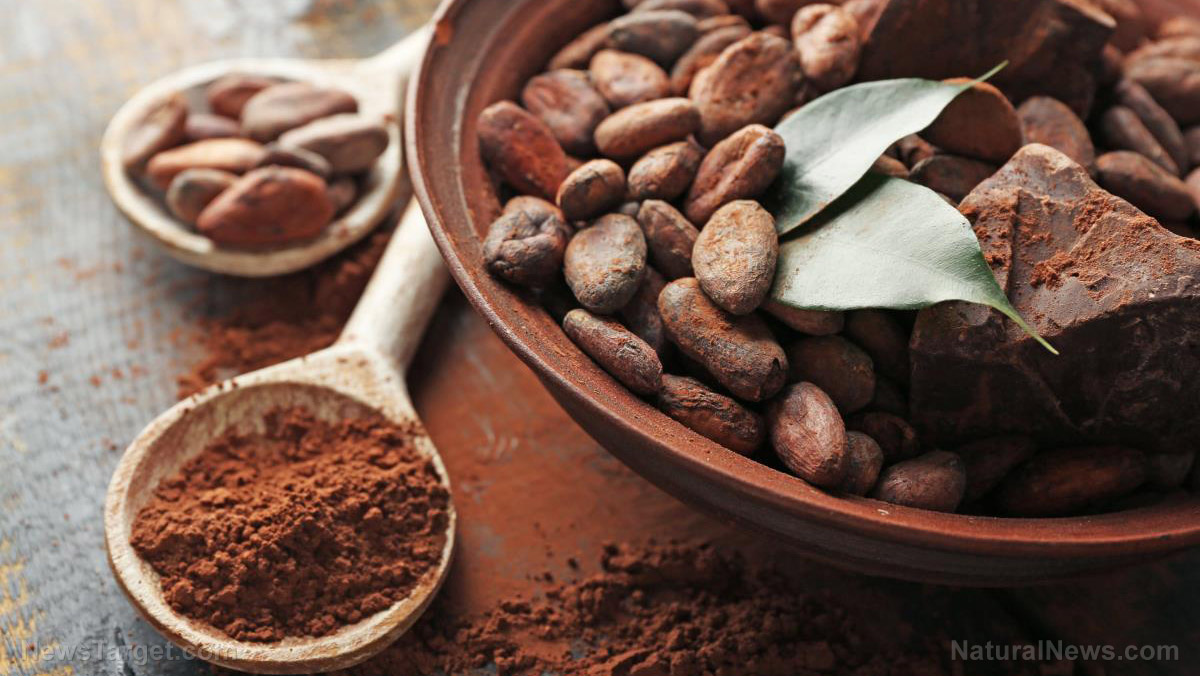 Image: Cocoa provides strong protection against the influenza virus