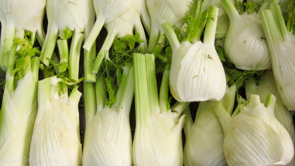 Image: Eating more fennel keeps your heart healthy – especially when consumed regularly