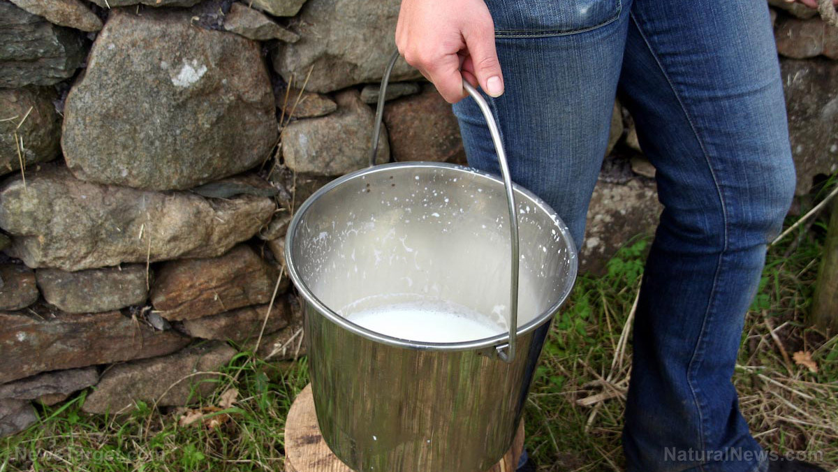 Image: Food storage tips: 5 ways to preserve milk