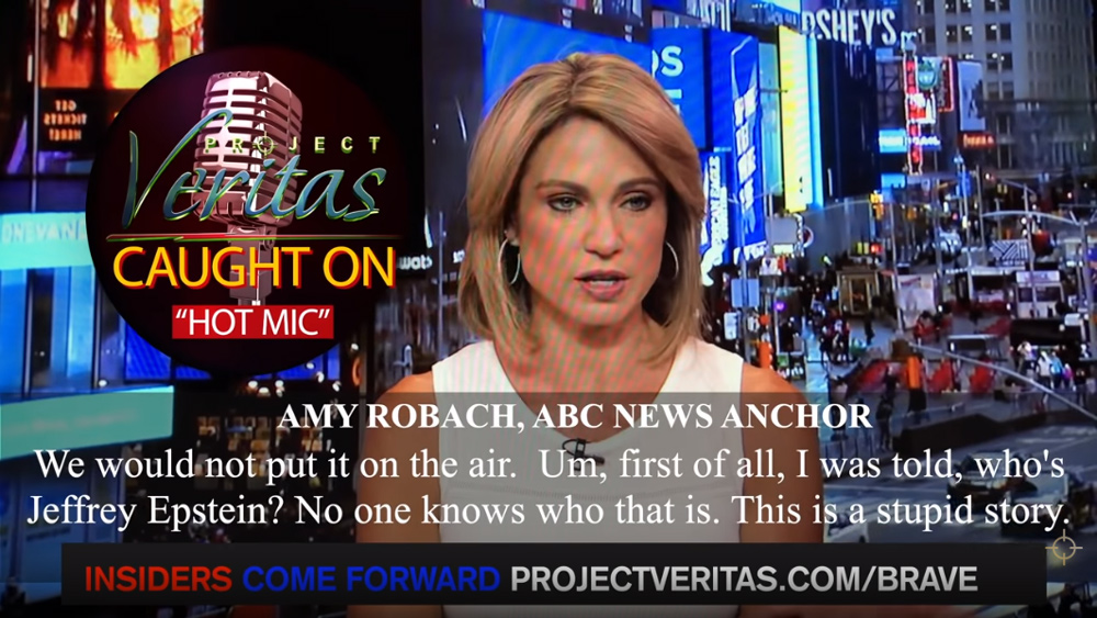 Image: ABC News anchor admits coordinated cover-up of Jeffrey Epstein rapes by mainstream media; news outlets complicit in repeated child rape crimes