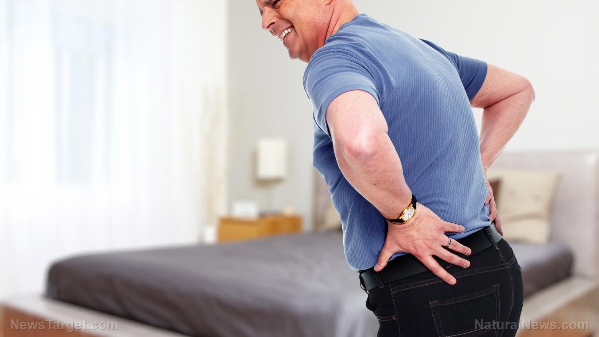 Image: 6 Causes of lower back pain and testicular pain