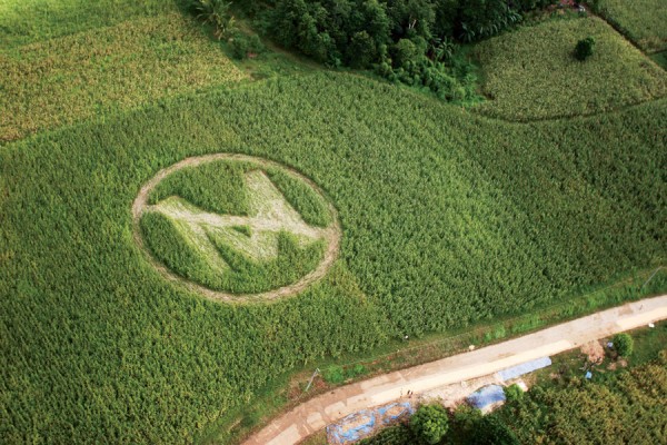 Image: Confirmed: Monsanto is a criminal corporation that knowingly commits chemical crimes against all life on earth