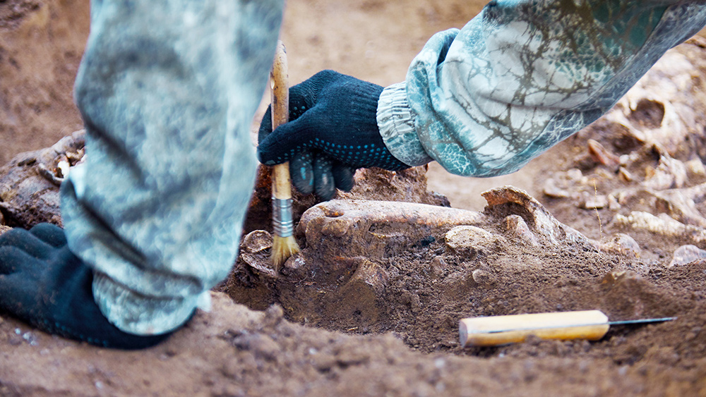 Image: Innate ingenuity: Ethiopian dig unearths ancient stone tools, some of the oldest ever discovered at more than 2.58 million years old