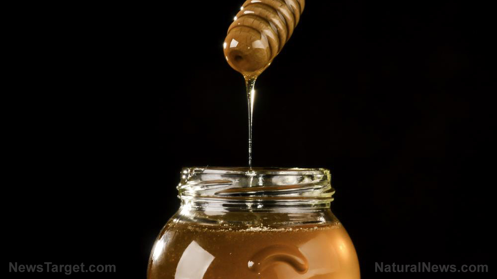 Image: Sweet superfood: Australian manuka honey is just as beneficial as New Zealand varieties