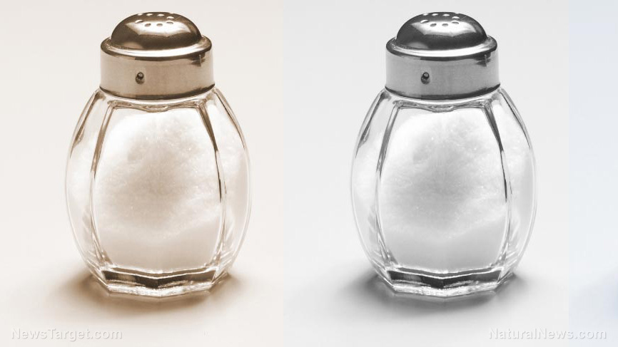 Image: Don’t cut salt completely: Study discovers that high-salt diets inhibit tumor growth