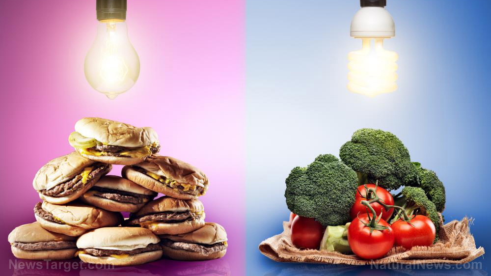 Image: Empty nutrition, empty noggin: Western-style diet can impair brain function, warn researchers