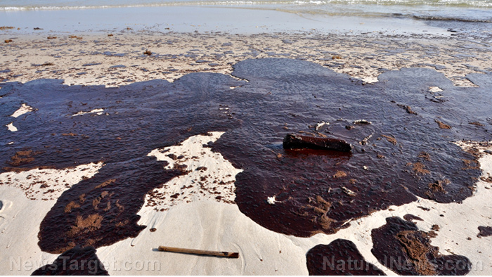 Image: New study reveals true extent of toxic oil spill from Deepwater Horizon disaster