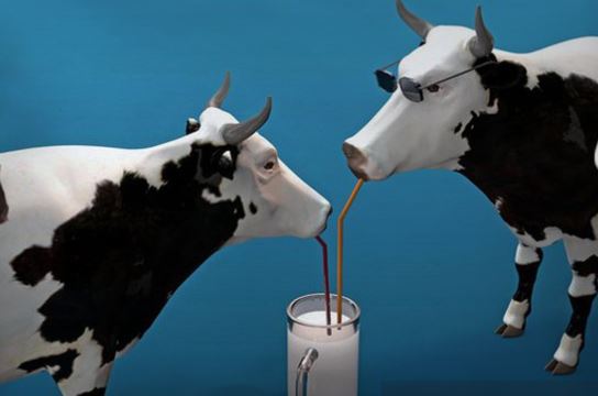 Image: One of America’s largest milk producers just filed for bankruptcy as consumers switch to non-dairy beverages