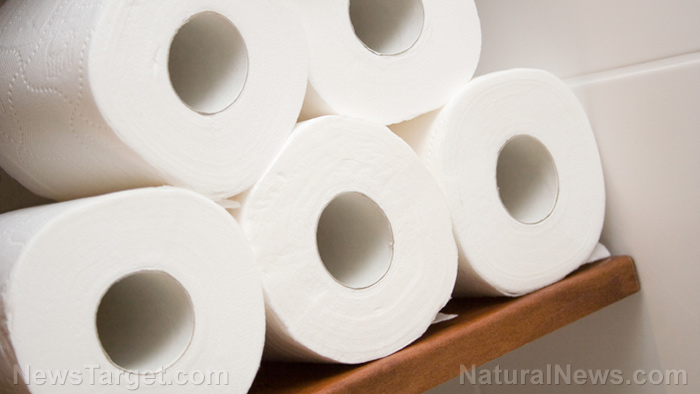 Image: No TP? No problem: How to make DIY toilet paper