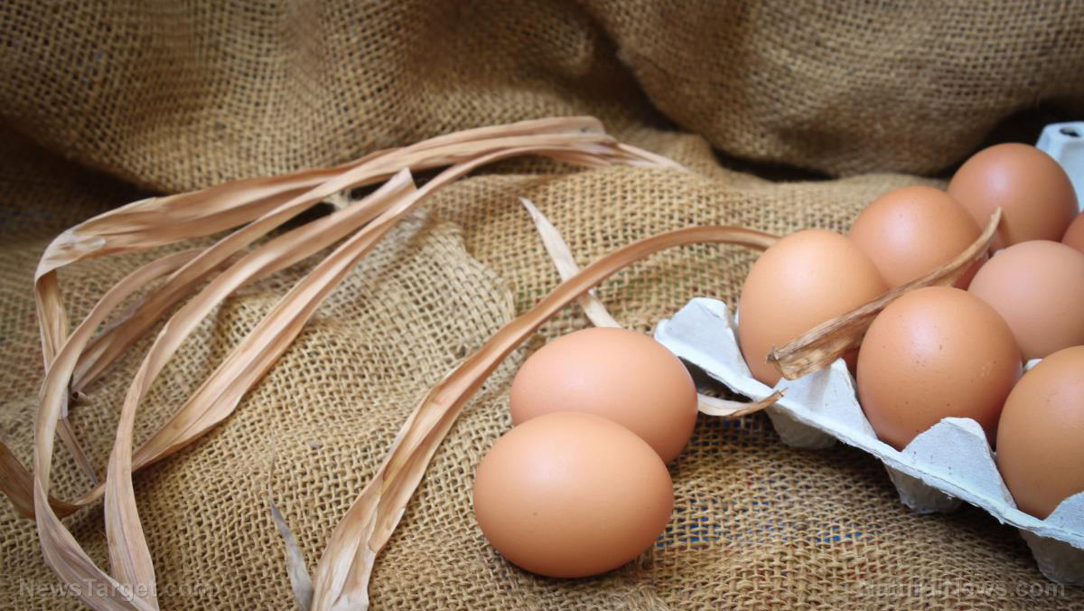 Image: Huge increase in food demand due to coronavirus sends wholesale egg prices skyrocketing 180%