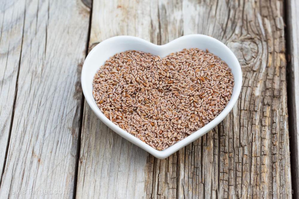 Image: Here’s why fiber-rich psyllium husk is often used in keto and vegan recipes