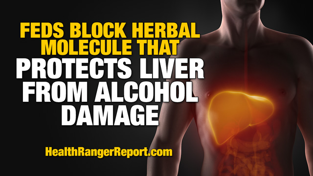 Image: Feds block herbal molecule that makes drinking alcohol less dangerous to your liver — Health Ranger