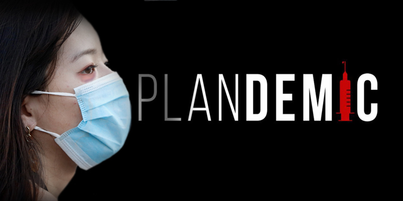 Image: Where to find the Plandemic documentary with Judy Mikovits in Portuguese, Greek, Spanish, Danish, French, Lithuanian, Turkish, Italian and English