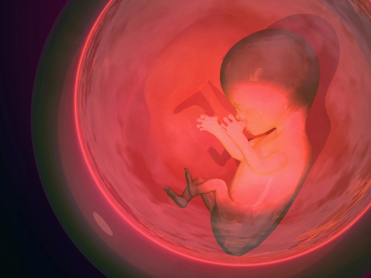 Image: London scientists genetically alter human embryos, with disastrous results