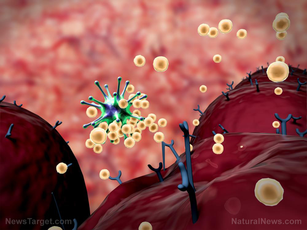 Image: FDA identifies dozens of inaccurate coronavirus antibody tests