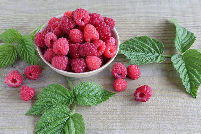 Image: Phenolic-enriched raspberry extract can decrease weight gain – even when eating a high-fat diet