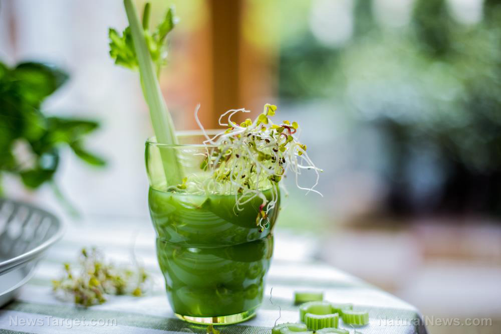 Image: 5 Health benefits of fiber-rich celery