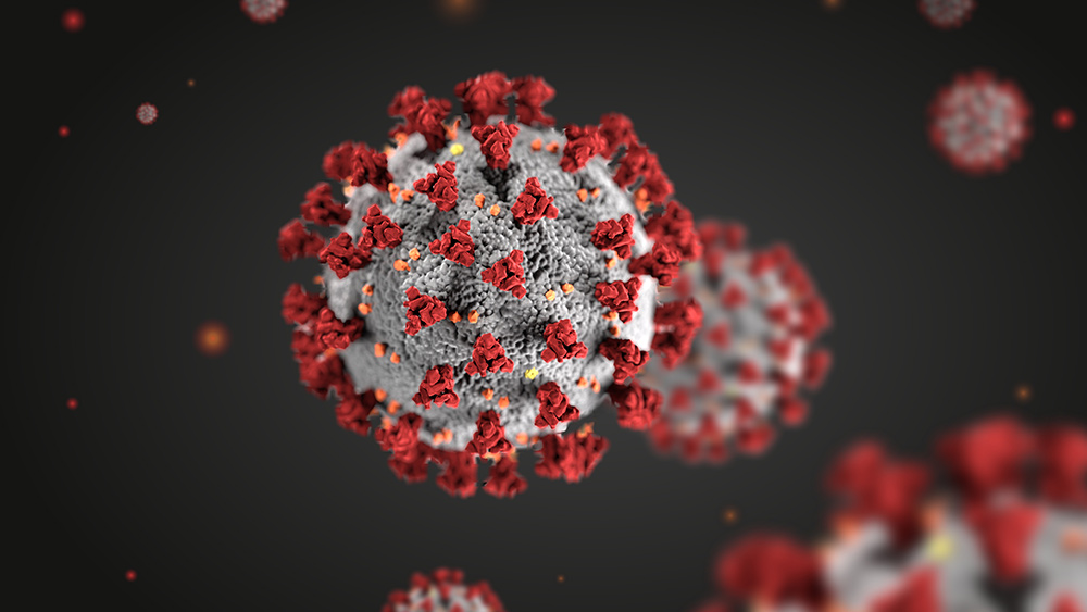 Image: Mutated form of SARS-CoV-2 now predominates global infections