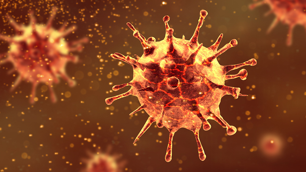 Image: Coronavirus found to have the ability to infect brain cells, says research