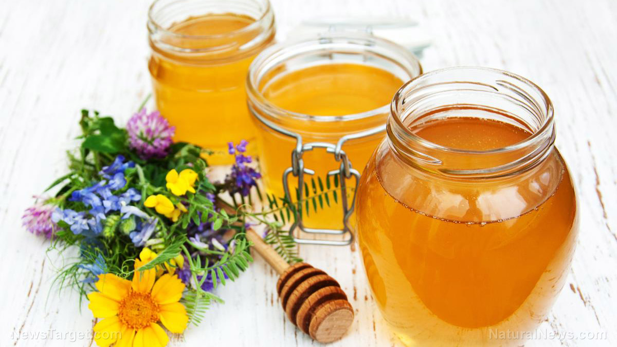Image: The sweet and the sour: Health benefits of honey and apple cider vinegar