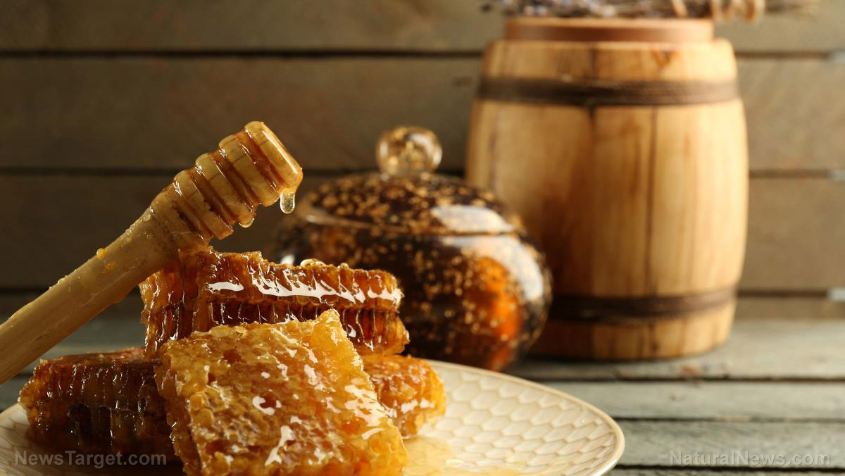 Image: Saudi honey found to be a potent antibacterial against drug-resistant bacteria