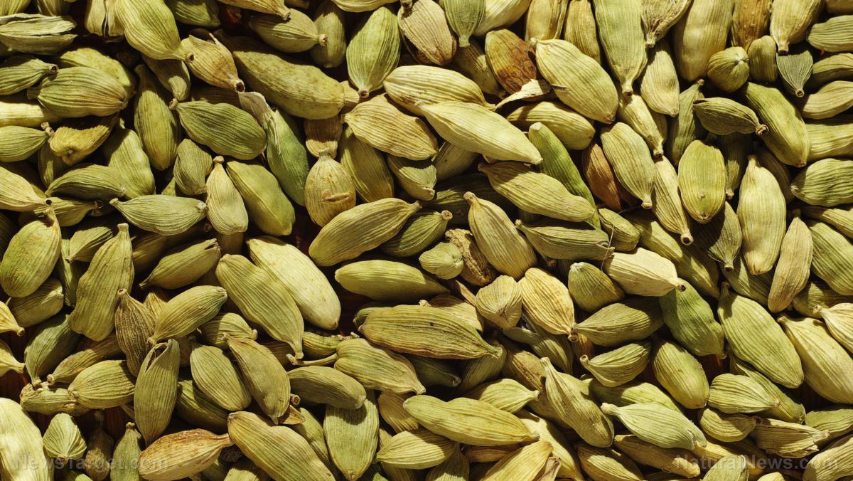 Image: The health benefits of cardamom, an antioxidant-rich spice