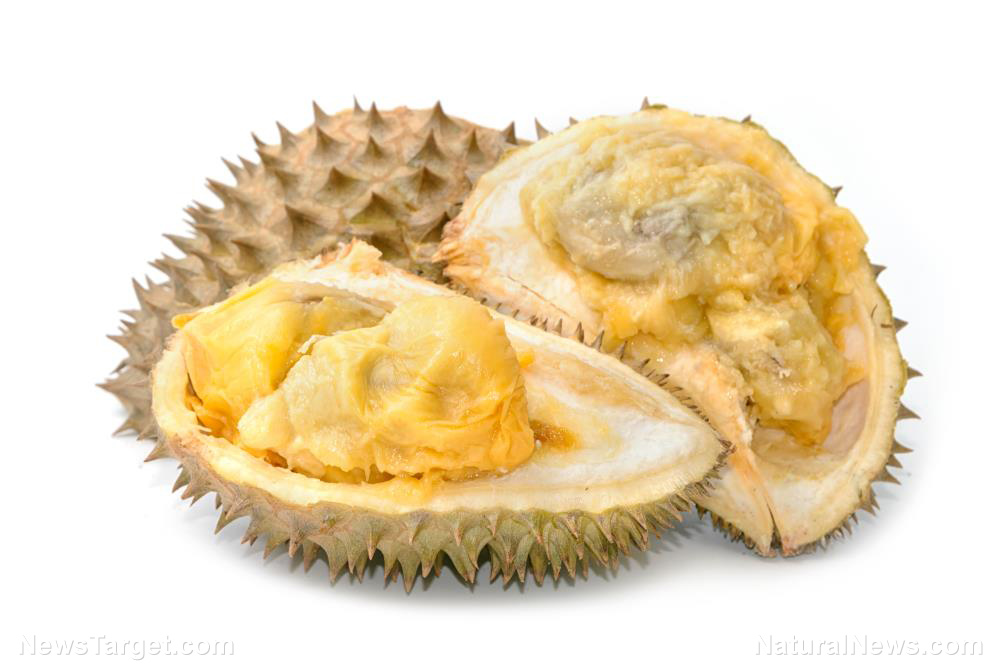 Image: Better than it smells: 5 Health benefits you can get from the durian fruit