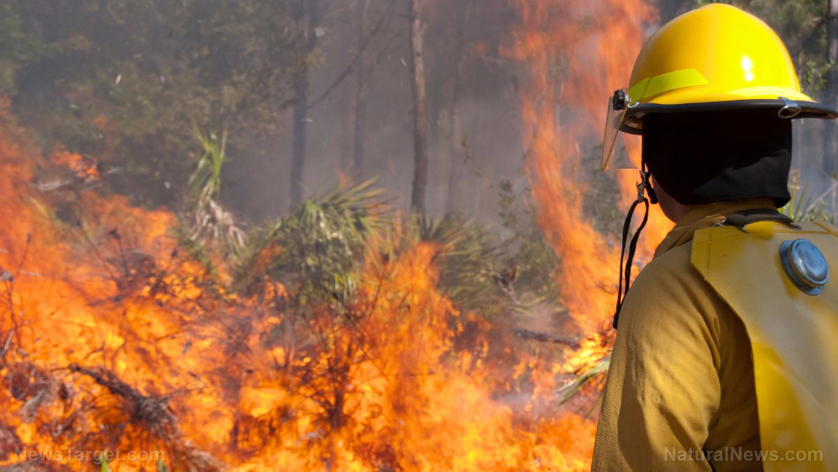 Image: Suspected arsonists arrested for setting rural fires in Washington state amid blazing wildfires