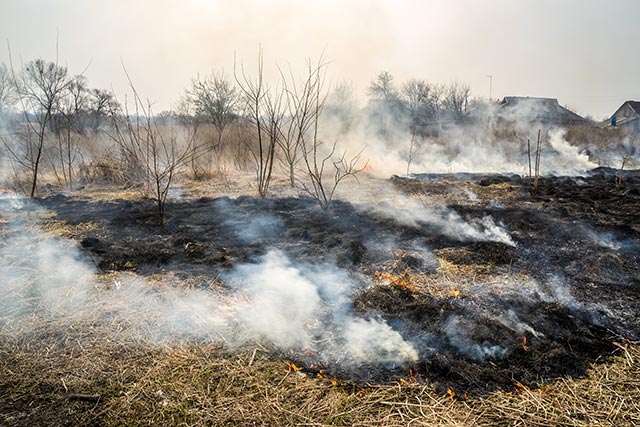 Image: Mysterious beams: Directed energy weapons (DEWs) linked to wildfires in California and Oregon