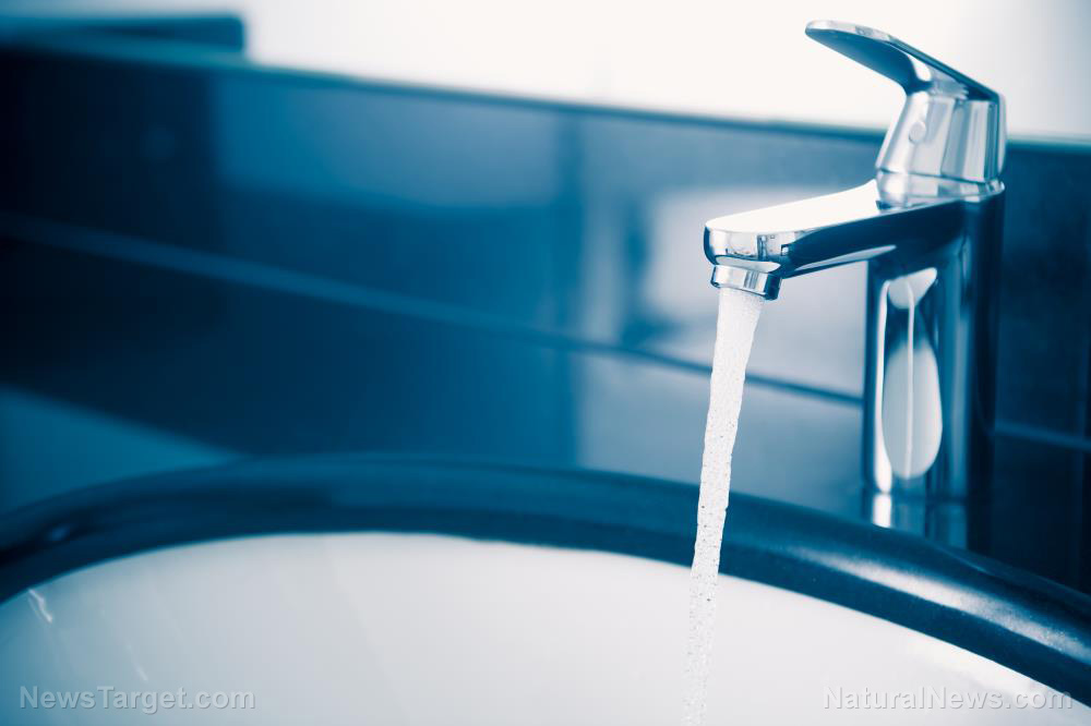 Image: Texas boy dies after being exposed to BRAIN-EATING amoeba in tap water