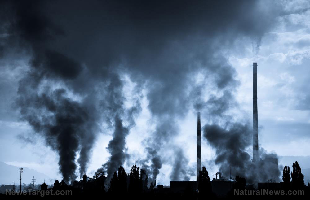 Image: Exposure to air pollution linked to memory loss equal to at least 10 EXTRA YEARS of aging, caution researchers