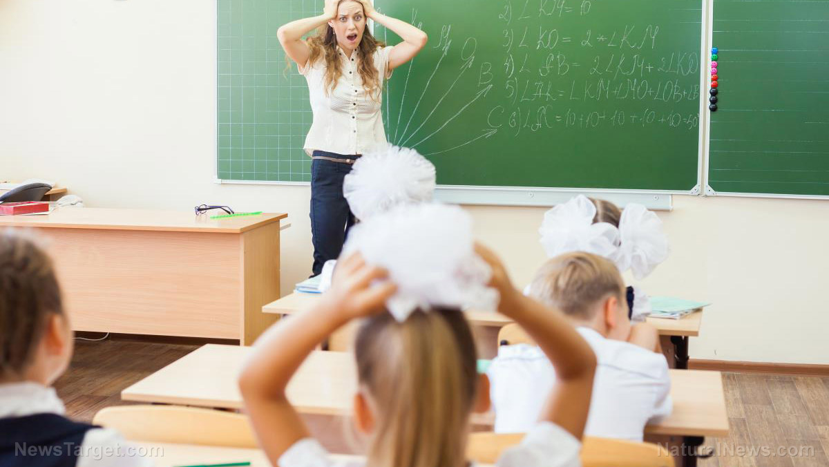 Image: Want to teach in Illinois? Better get woke fast. This proposal would require teachers to be progressives if they want to keep their licenses.