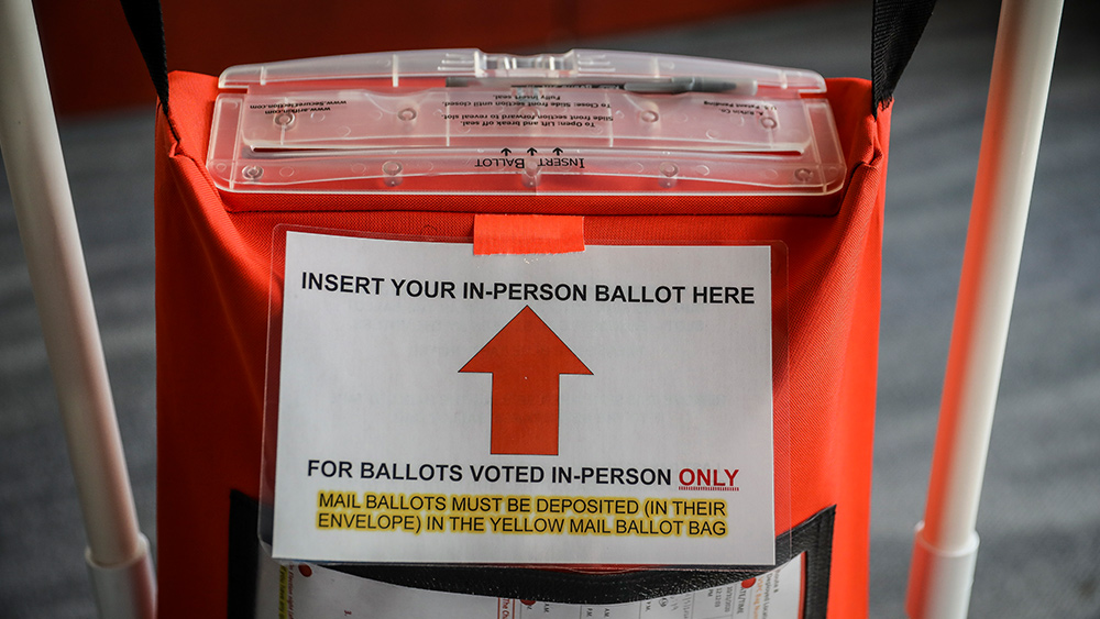 Image: Who says there’s been no vote fraud? Michigan poll worker with sheafs of affidavits begs to differ at bombshell hearing